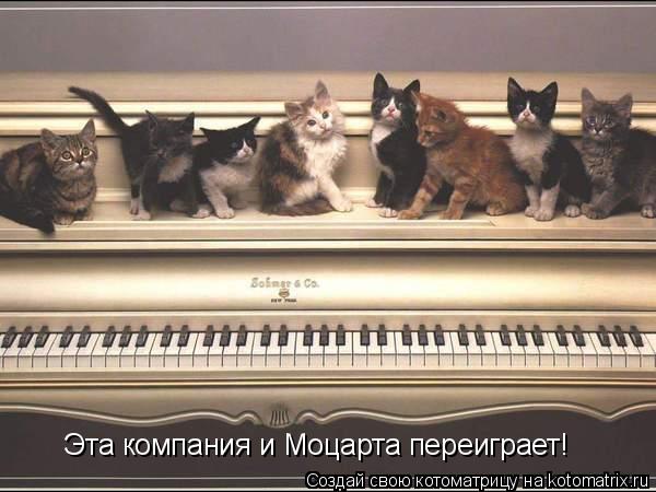 Эта компания и Моцарта переиграет!... Котоматрица: Эта компания и Моцарта переиграет!
