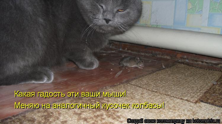 Какая гадость эти ваши мыши! Меняю на аналогичный кусочек колбасы!... Котоматрица: Какая гадость эти ваши мыши! Меняю на аналогичный кусочек колбасы!