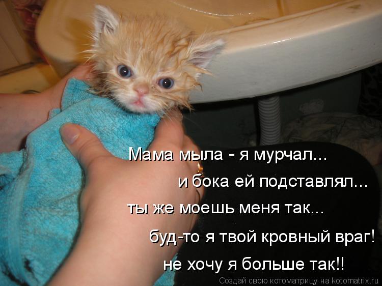 Мама мыла - я мурчал... и бока ей подставлял... ты же моешь меня так... буд-то я твой кровный враг! н... Котоматрица: Мама мыла - я мурчал... и бока ей подставлял... ты же моешь меня так... буд-то я твой кровный враг! не хочу я больше так!!