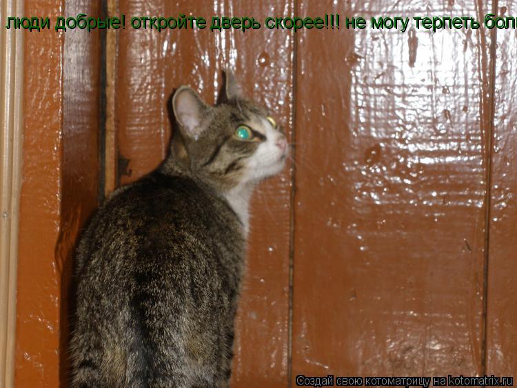 люди добрые! откройте дверь скорее!!! не могу терпеть больше...... Котоматрица: люди добрые! откройте дверь скорее!!! не могу терпеть больше...