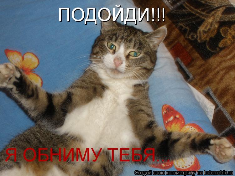 ПОДОЙДИ!!! Я ОБНИМУ ТЕБЯ...... Котоматрица: ПОДОЙДИ!!! Я ОБНИМУ ТЕБЯ...