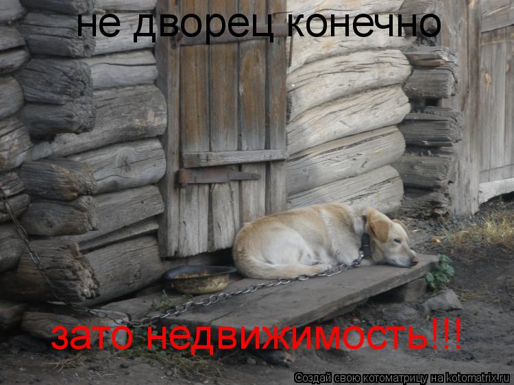 Котоматрица: не дворец конечно зато недвижимость!!!