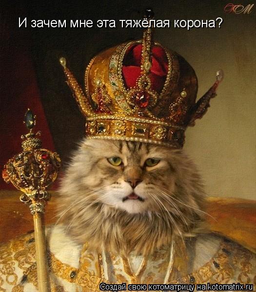 Котоматрица: И зачем мне эта тяжёлая корона?