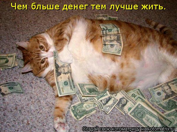Чем бльше денег тем лучше жить.... Котоматрица: Чем бльше денег тем лучше жить.