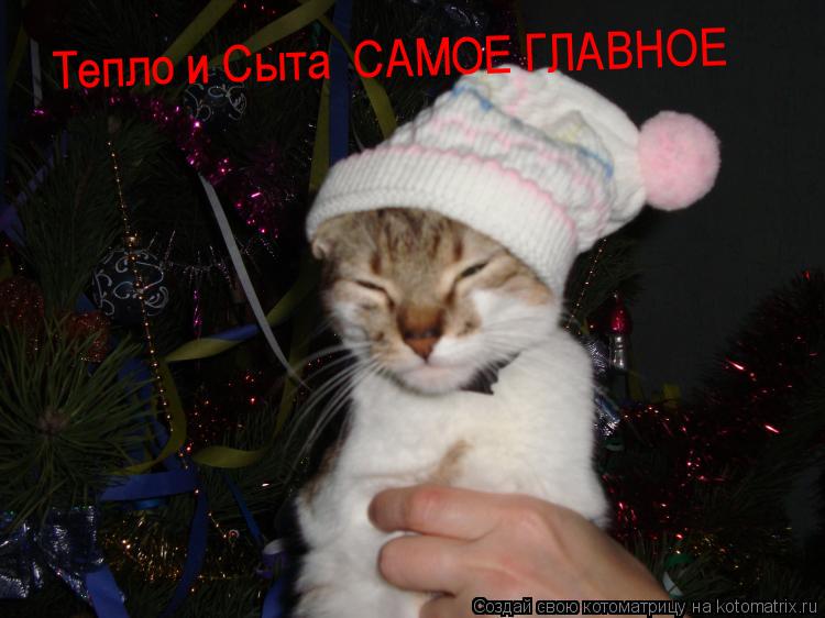 Котоматрица: Тепло и Сыта  САМОЕ ГЛАВНОЕ