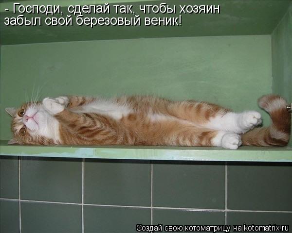 Котоматрица: - Господи, сделай так, чтобы хозяин забыл свой березовый веник!