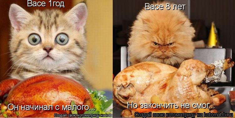 Васе 1год Васе 8 лет Он начинал с малого... Но закончить не смог...... Котоматрица: Васе 1год Васе 8 лет Он начинал с малого... Но закончить не смог...
