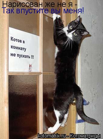Нарисован же не я - Так впустите вы меня!... Котоматрица: Нарисован же не я - Так впустите вы меня!