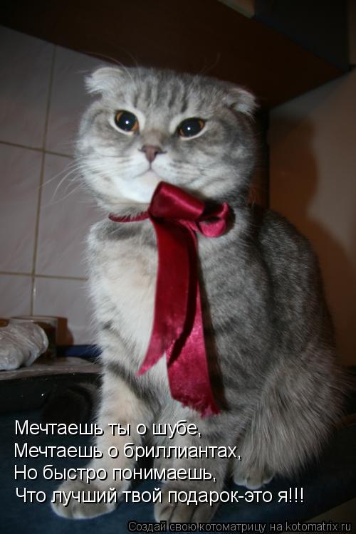 Котоматрица: Мечтаешь о бриллиантах, Мечтаешь ты о шубе, Но быстро понимаешь, Что лучший твой подарок-это я!!!