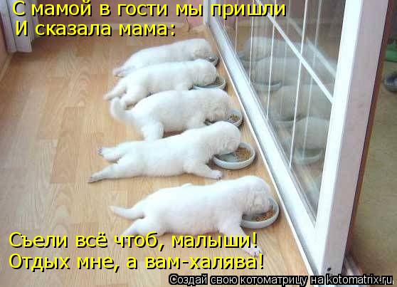 С мамой в гости мы пришли И сказала мама: Съели всё чтоб, малыши! Отдых мне, а вам-халява!... Котоматрица: С мамой в гости мы пришли И сказала мама: Съели всё чтоб, малыши! Отдых мне, а вам-халява!