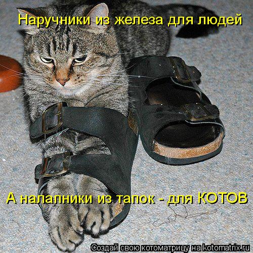 Котоматрица: Наручники из железа для людей А налапники из тапок - для КОТОВ