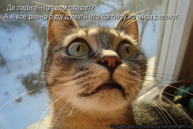 Котоматрица: Да ладно!Что так и сказал? А я все равно буду думать что колбасу из мяса делают