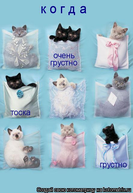 Котоматрица: к о г д а  очень грустно тоска грустно
