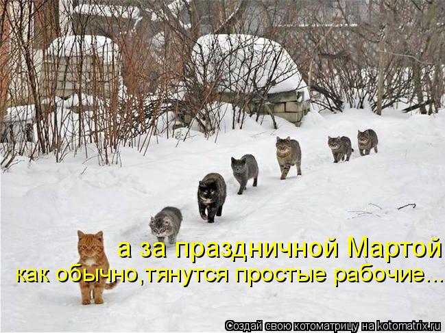 как обычно,тянутся простые рабочие... а за праздничной Мартой... Котоматрица: как обычно,тянутся простые рабочие... а за праздничной Мартой