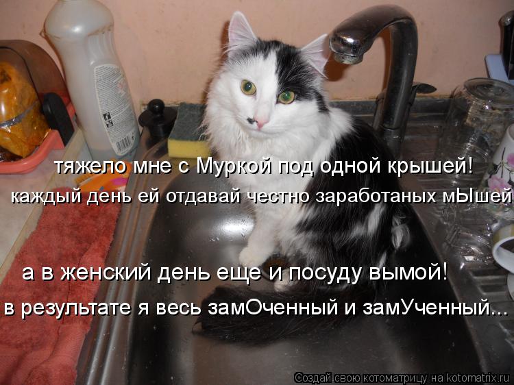 а в женский день еще и посуду вымой! в результате я весь замОченный и замУченный... тяжело мне с Мурк... Котоматрица: а в женский день еще и посуду вымой! в результате я весь замОченный и замУченный... тяжело мне с Муркой под одной крышей! каждый день ей отдав