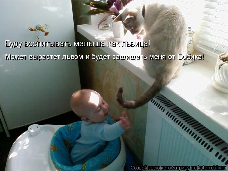 Буду воспитывать малыша как львица! Может вырастет львом и будет защищать меня от Бобика!... Котоматрица: Буду воспитывать малыша как львица! Может вырастет львом и будет защищать меня от Бобика!