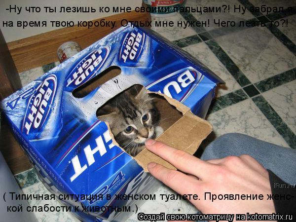 -Ну что ты лезишь ко мне своими пальцами?! Ну забрал я на время твою коробку. Отдых мне нужен! Чего ... Котоматрица: -Ну что ты лезишь ко мне своими пальцами?! Ну забрал я на время твою коробку. Отдых мне нужен! Чего лезть то?! ( Типичная ситуация в женском туа