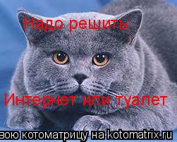 Интернет или туалет Надо решить:... Котоматрица: Интернет или туалет Надо решить: