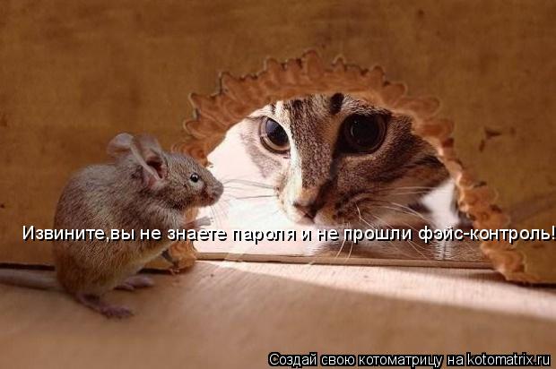 Извините,вы не знаете пароля и не прошли фэйс-контроль!... Котоматрица: Извините,вы не знаете пароля и не прошли фэйс-контроль!
