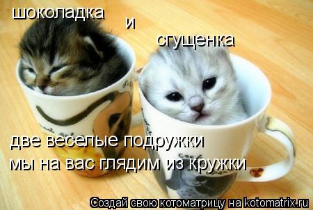 две веселые подружки шоколадка и сгущенка мы на вас глядим из кружки... Котоматрица: две веселые подружки шоколадка и сгущенка мы на вас глядим из кружки