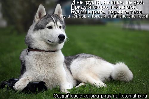 И не грусти, не плач, не ной, Приду я скоро, пёсик мой. Будем играть, кормить тебя, Ну а теперь - пок... Котоматрица: И не грусти, не плач, не ной, Приду я скоро, пёсик мой. Будем играть, кормить тебя, Ну а теперь - пока, и знай: люблю тебя!