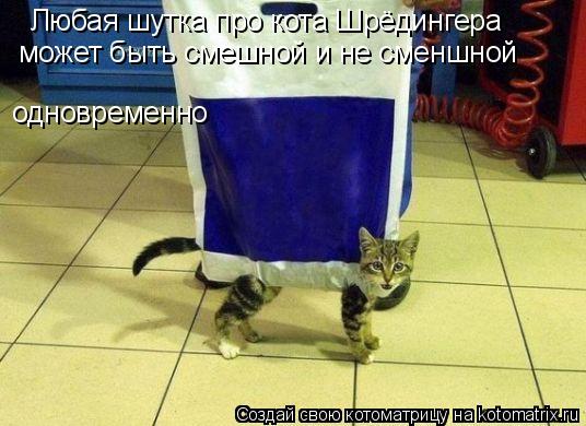 Любая шутка про кота Шрёдингера может быть смешной и не сменшной одновременно... Котоматрица: Любая шутка про кота Шрёдингера может быть смешной и не сменшной одновременно