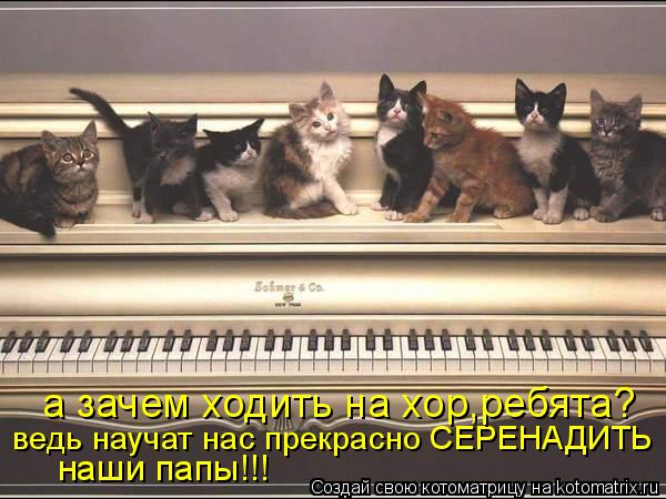 Котоматрица: ведь научат нас прекрасно СЕРЕНАДИТЬ наши папы!!! а зачем ходить на хор,ребята?