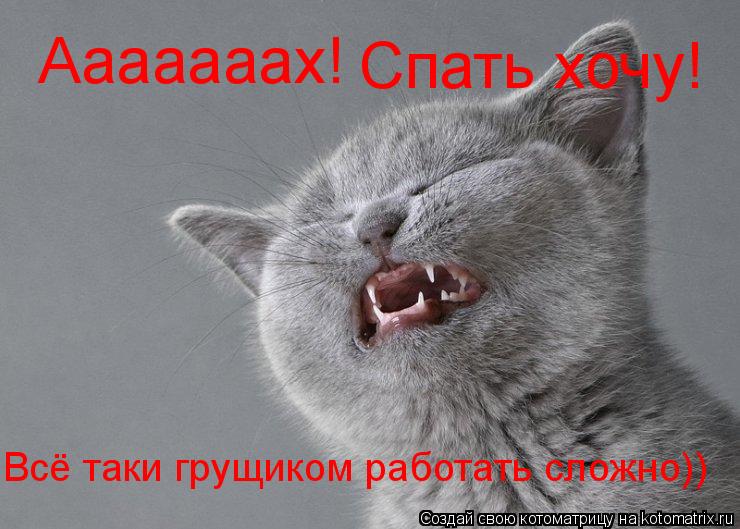 Котоматрица: Ааааааах! Спать хочу! Всё таки грущиком работать сложно))
