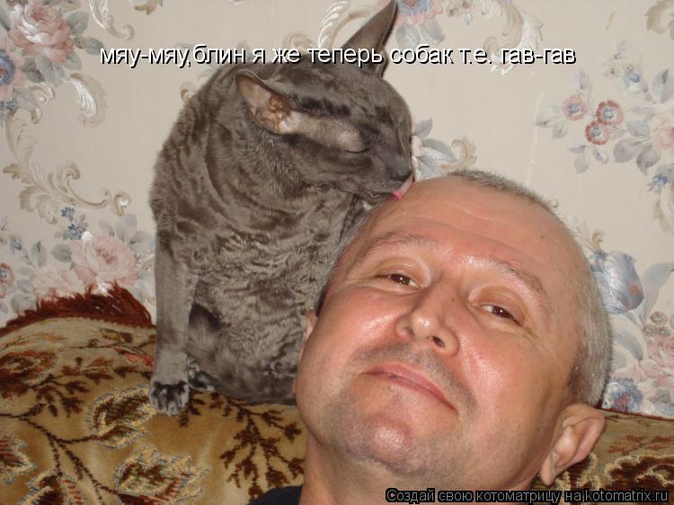 мяу-мяу,блин я же теперь собак т.е. гав-гав... Котоматрица: мяу-мяу,блин я же теперь собак т.е. гав-гав