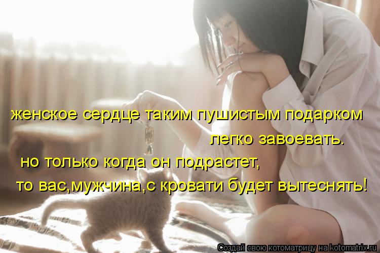 женское сердце таким пушистым подарком легко завоевать. но только когда он подрастет, то вас,мужчина,... Котоматрица: женское сердце таким пушистым подарком легко завоевать. но только когда он подрастет, то вас,мужчина,с кровати будет вытеснять!