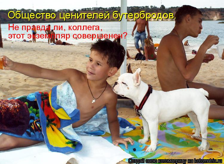 Общество ценителей бутербродов. Не правда ли, коллега, этот экземпляр совершенен?... Котоматрица: Общество ценителей бутербродов. Не правда ли, коллега, этот экземпляр совершенен?