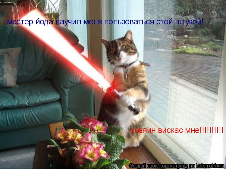 мастер йода научил меня пользоваться этой штукой! хозяин вискас мне!!!!!!!!!!... Котоматрица: мастер йода научил меня пользоваться этой штукой! хозяин вискас мне!!!!!!!!!!