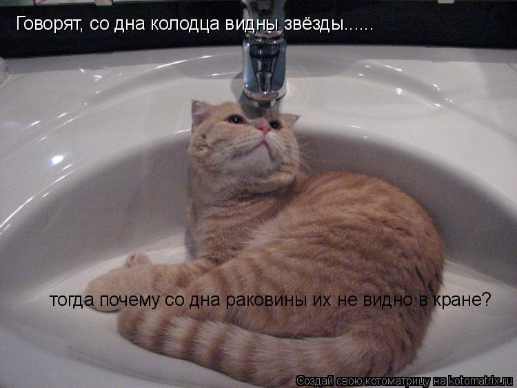 Говорят, со дна колодца видны звёзды...... тогда почему со дна раковины их не видно в кране?... Котоматрица: Говорят, со дна колодца видны звёзды...... тогда почему со дна раковины их не видно в кране?