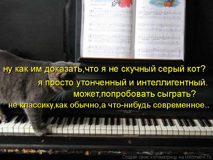 ну как им доказать,что я не скучный серый кот? я просто утонченный и интеллигентный. может,попробоват... Котоматрица: ну как им доказать,что я не скучный серый кот? я просто утонченный и интеллигентный. может,попробовать сыграть? не классику,как обычно,а что-