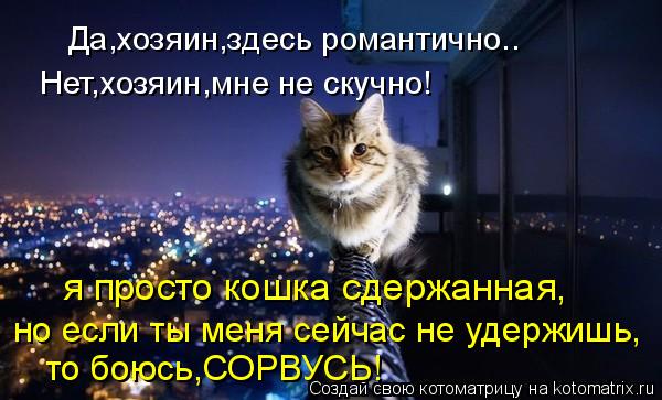 Да,хозяин,здесь романтично.. Нет,хозяин,мне не скучно! я просто кошка сдержанная, но если ты меня сей... Котоматрица: Да,хозяин,здесь романтично.. Нет,хозяин,мне не скучно! я просто кошка сдержанная, но если ты меня сейчас не удержишь, то боюсь,СОРВУСЬ!