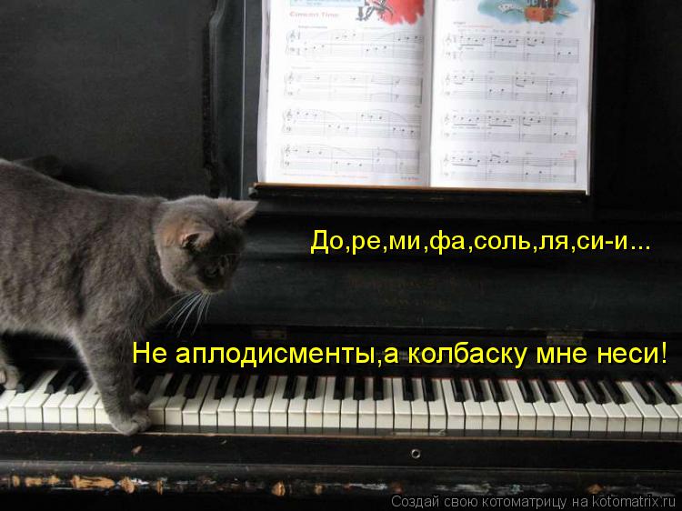 До,ре,ми,фа,соль,ля,си-и... Не аплодисменты,а колбаску мне неси!... Котоматрица: До,ре,ми,фа,соль,ля,си-и... Не аплодисменты,а колбаску мне неси!