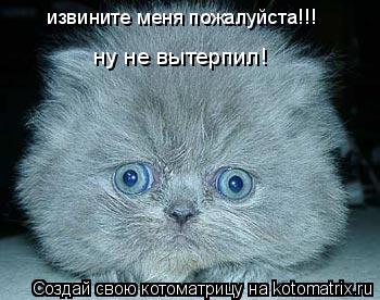 извините меня пожалуйста!!! ну не вытерпил!... Котоматрица: извините меня пожалуйста!!! ну не вытерпил!