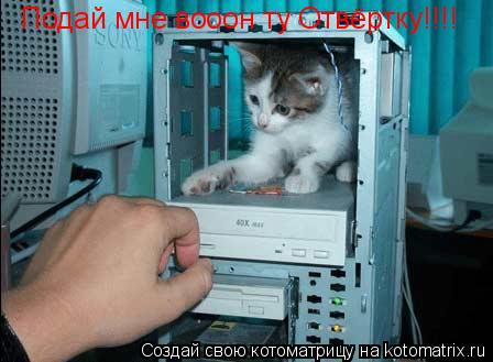 Подай мне вооон ту Отвёртку!!!!... Котоматрица: Подай мне вооон ту Отвёртку!!!!