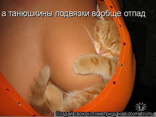 а танюшкины подвязки вообще отпад... Котоматрица: а танюшкины подвязки вообще отпад