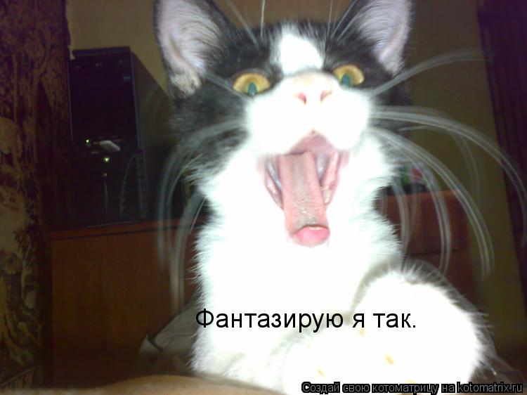 Фантазирую я так.... Котоматрица: Фантазирую я так.