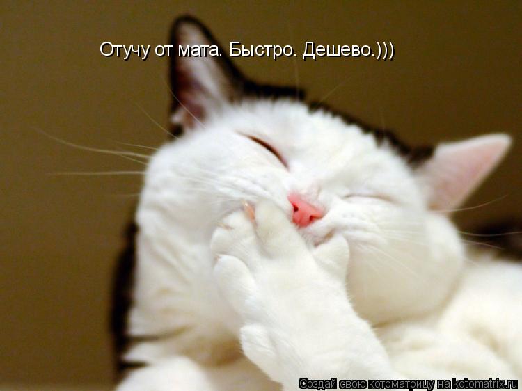 Отучу от мата. Быстро. Дешево.)))... Котоматрица: Отучу от мата. Быстро. Дешево.)))
