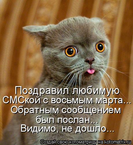 Поздравил любимую СМСкой с восьмым марта... Обратным сообщением был послан... Видимо, не дошло...... Котоматрица: Поздравил любимую СМСкой с восьмым марта... Обратным сообщением был послан... Видимо, не дошло...