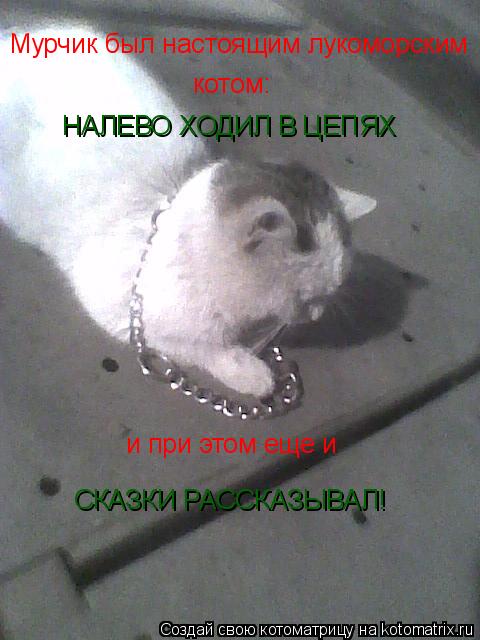 Мурчик был настоящим лукоморским котом: НАЛЕВО ХОДИЛ В ЦЕПЯХ и при этом еще и СКАЗКИ РАССКАЗЫВАЛ!... Котоматрица: Мурчик был настоящим лукоморским котом: НАЛЕВО ХОДИЛ В ЦЕПЯХ и при этом еще и СКАЗКИ РАССКАЗЫВАЛ!