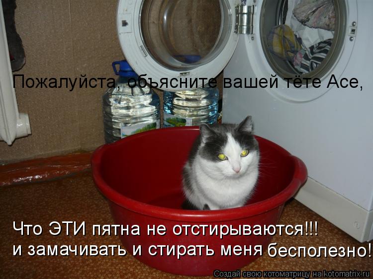 Пожалуйста, объясните вашей тёте Асе, Что ЭТИ пятна не отстирываются!!! и замачивать и стирать меня ... Котоматрица: Пожалуйста, объясните вашей тёте Асе, Что ЭТИ пятна не отстирываются!!! и замачивать и стирать меня бесполезно!!!