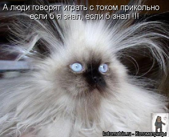 А люди говорят играть с током прикольно если б я знал, если б знал !!!... Котоматрица: А люди говорят играть с током прикольно если б я знал, если б знал !!!