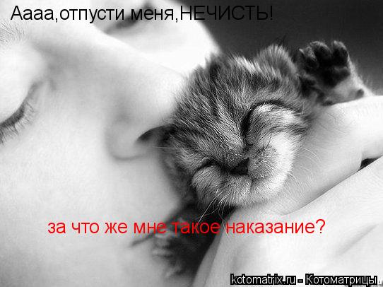 Аааа,отпусти меня,НЕЧИСТЬ! за что же мне такое наказание?... Котоматрица: Аааа,отпусти меня,НЕЧИСТЬ! за что же мне такое наказание?