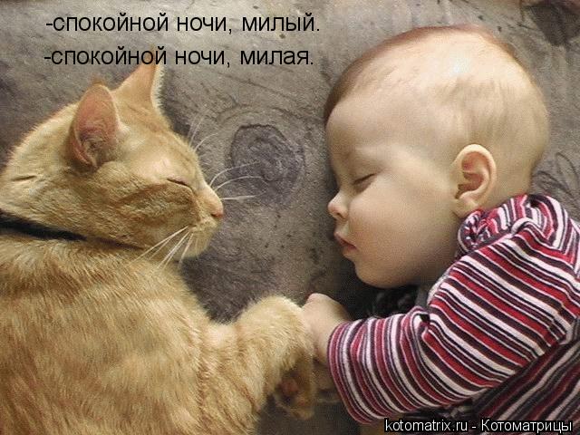 -спокойной ночи, милый. -спокойной ночи, милая.... Котоматрица: -спокойной ночи, милый. -спокойной ночи, милая.