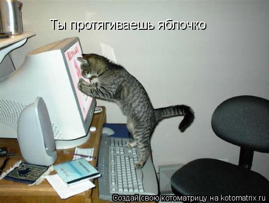 Ты протягиваешь яблочко... Котоматрица: Ты протягиваешь яблочко