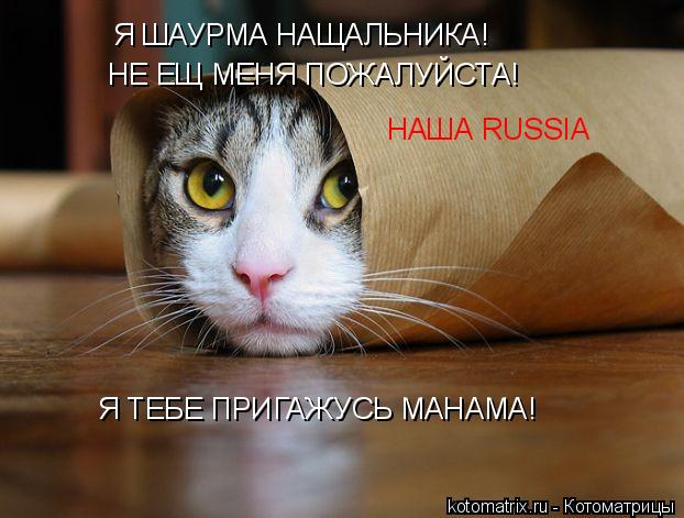 Я ШАУРМА НАЩАЛЬНИКА! НЕ ЕЩ МЕНЯ ПОЖАЛУЙСТА! Я ТЕБЕ ПРИГАЖУСЬ МАНАМА! НАША RUSSIA... Котоматрица: Я ШАУРМА НАЩАЛЬНИКА! НЕ ЕЩ МЕНЯ ПОЖАЛУЙСТА! Я ТЕБЕ ПРИГАЖУСЬ МАНАМА! НАША RUSSIA