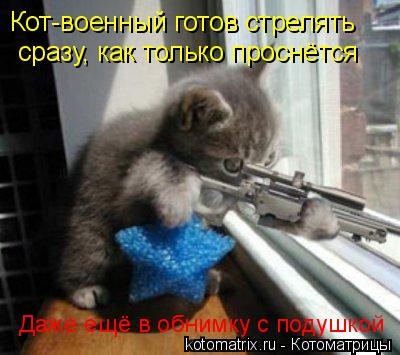 Кот-военный готов стрелять сразу, как только проснётся Даже ещё в обнимку с подушкой... Котоматрица: Кот-военный готов стрелять сразу, как только проснётся Даже ещё в обнимку с подушкой